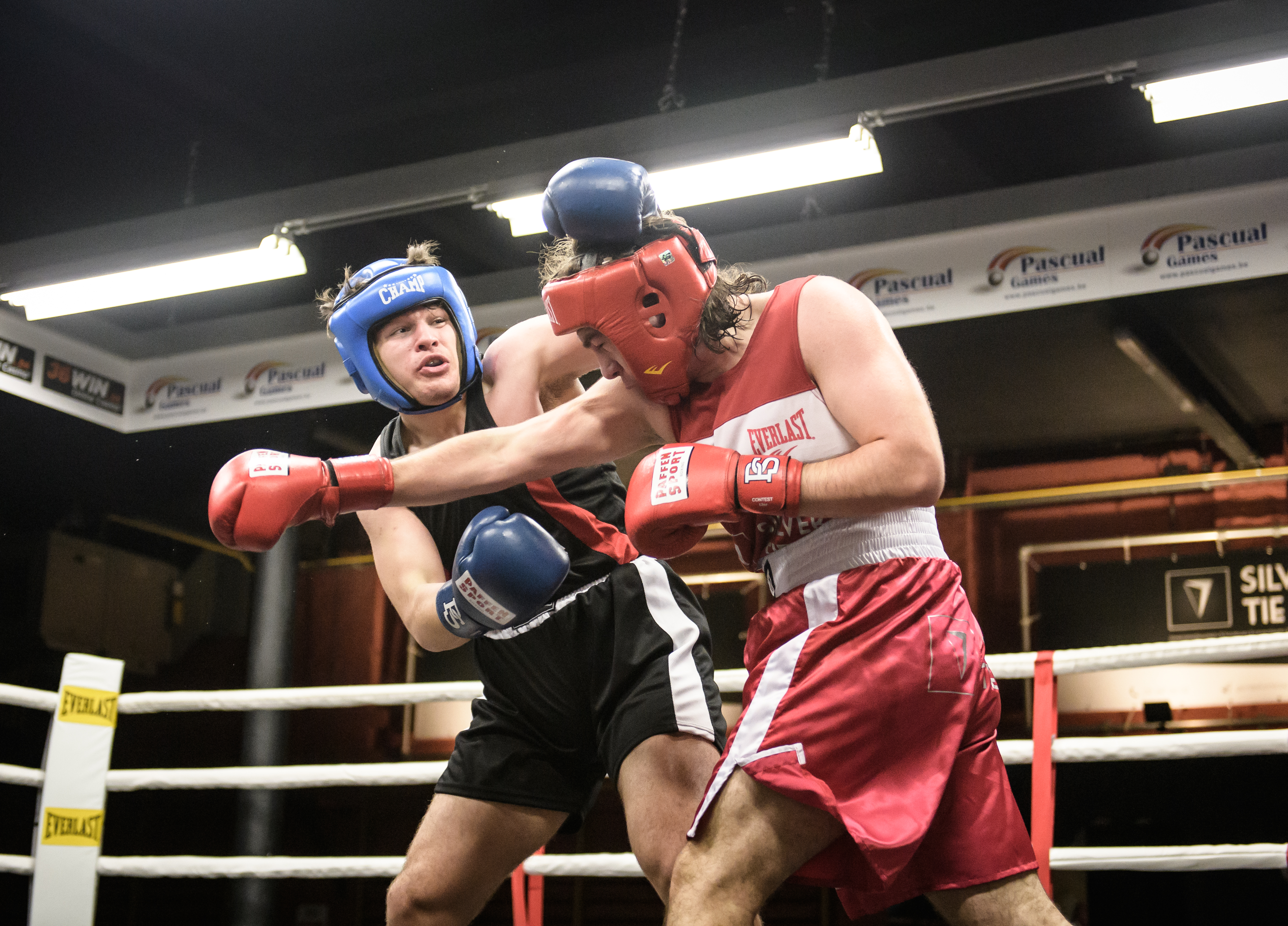 Golden Gloves Gent Wedstrijd